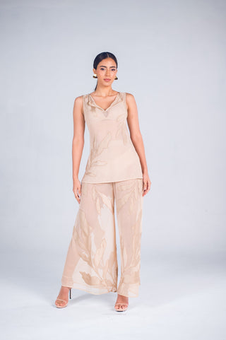 Alaria set