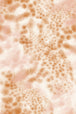 coralia-print